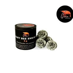 Best GIOIASHRIMP Abri baby bee shrimp – boîte de 5