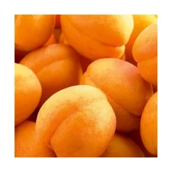 New BOTANIC® Abricotier Rustique Des Pyrenees ® Bourqui Bio. Le pot de 12 litres forme gobelet