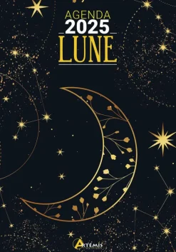 Online ARTEMIS Agenda 2025 lune coloris multicolore