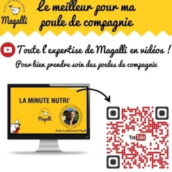 Sale MAGALLI Aliment complet pour poule pondeuse en sac jaune de 8 kg
