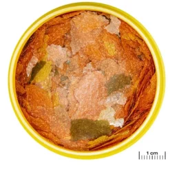 Clearance JBL Alimentation poissons Tanganyika en flocons, ProNovo - 170g/1000ml