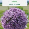 Sale BOTANIC® Allium gladiator - 1 bulbe