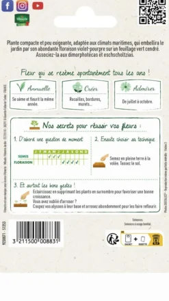 Online VILMORIN Alysse Tapis Royal - graines à semer