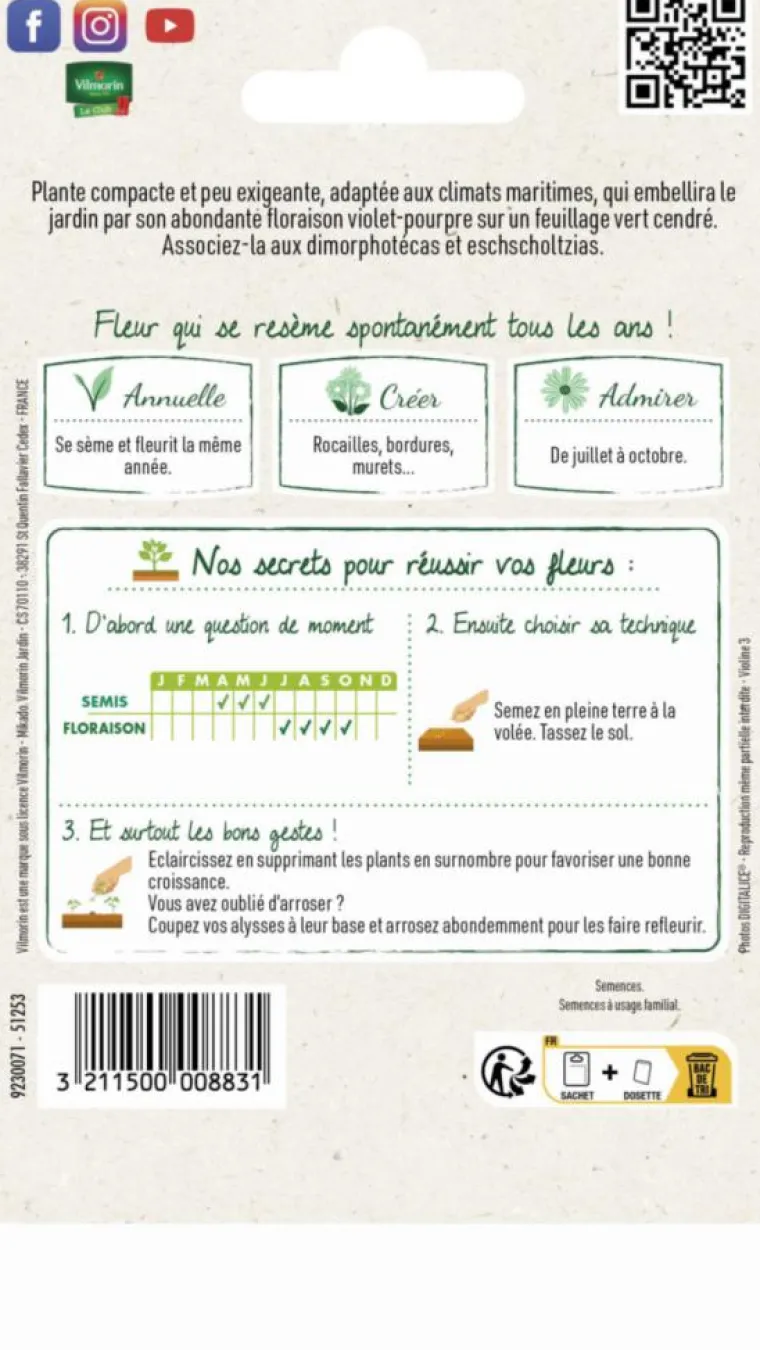 Online VILMORIN Alysse Tapis Royal - graines à semer