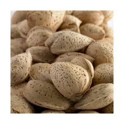 Outlet BOTANIC® Amandier Lauranne ® Avijor. Le pot de 12 litres, forme gobelet