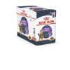 ROYAL CANIN Appetite control care en sauce en pack 12x85 g