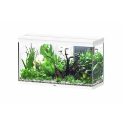 Discount AQUATLANTIS Aquarium 202 litres équipé LED 2.0 et filtre Splendid blanc - 100 x 40 x 61 cm