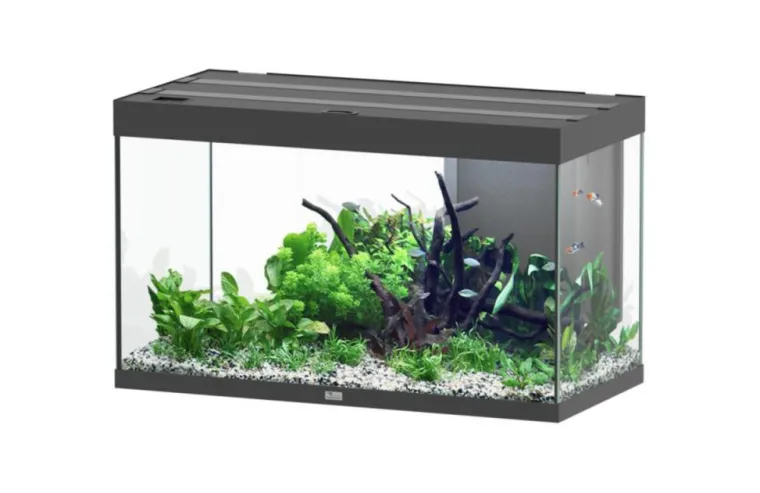 Clearance AQUATLANTIS Aquarium coloris noir Sublime Ultra LED 2.0 245 L - 100 x 50 x 60 cm