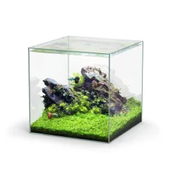 New AQUATLANTIS Aquarium cuve nue Kubus - 54L