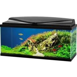 Hot CIANO Aquarium d'eau douce complet coloris noir Aqua 80 LED 71 L
