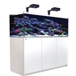 Online RED SEA Aquarium eau de mer avec un meuble coloris blanc Reefer™ Deluxe XL 525 - 150 x 57,5 x 142 cm