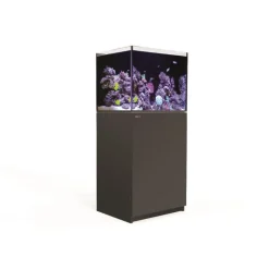 Sale RED SEA Aquarium eau de mer avec un meuble coloris noir Reefer™ 170 - 60 x 50 x 137 cm