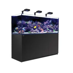Sale RED SEA Aquarium eau de mer avec un meuble coloris noir Reefer™ Deluxe XXL 750 - 180 x 65 x 148 cm