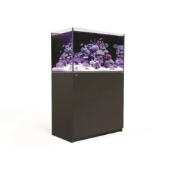 Sale RED SEA Aquarium eau de mer avec un meuble coloris noir Reefer™ 250 - 90 x 50 x 140 cm