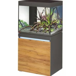BLUE CORAL Aquarium led graphite/Nature EHEIM AQUARIUM Incpiria - 230L