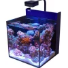 Hot BLUE CORAL Aquarium marin RED SEA AQUARIUM Max Nano G2 Cube