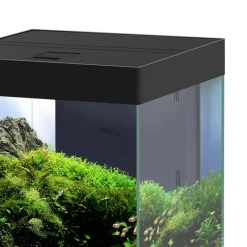Sale CIANO Aquarium équipé Emotions Pro 40 noir 52 L - 40 x 40 x 43 cm