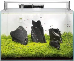 Hot SUPERFISH Aquarium tout équipé en verre blanc Scaper 90 - 60 x 40 x 38 cm