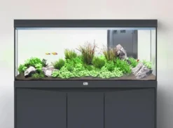 Discount BLUE CORAL Aquarium tout équipé, Gris anthracite mat - AQUATLANTIS Volga 200 - 242L