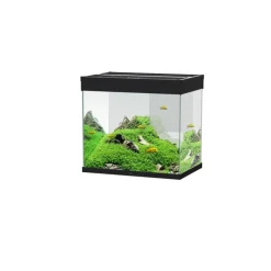Sale CIANO Aquarium tout équipé noir, 108L, Emotions Pro 60 - compact et élégant