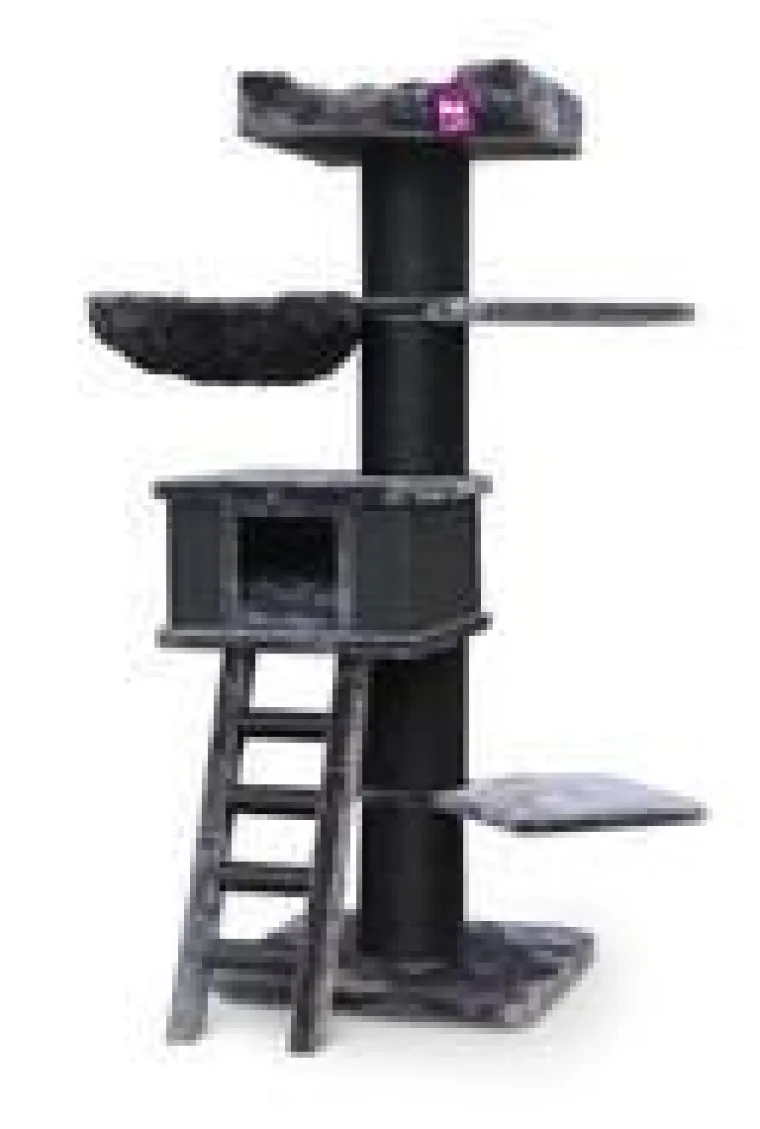 PETREBELS Arbre à chat coloris noir Ragdoll 180 – 60 x 60 x 180 cm