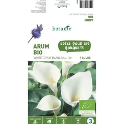 Best BOTANIC® Arum White Torch bio blanc - 1 bulbe