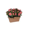 Sale Azalea pêche artificielle en jardinière Terra 27,5x13x33 cm