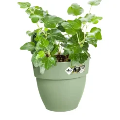 Discount ELHO Balconnière Vibia Campana easy hanger small vert - 20,5 x 24,1 cm