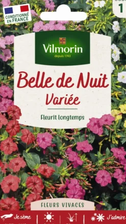 Best VILMORIN Belle-de-nuit Variée - graines à semer