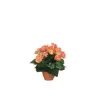 Outlet Bégonia saumon artificiel en pot Campana Terra H 25 x Ø 20 cm
