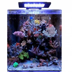 BLUE MARINE Bm Aquarium eau de mer Reef 60 35x45x40 cm