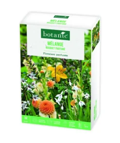Hot BOTANIC® Boite de bulbes de fleurs en mélange bouquet parfumé – 32 bulbes