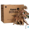 AQUAVIE Bonsaï pour aquascaping coloris marron - 24 x 20 x 16 cm