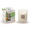 Best ESTEBAN PARIS Bougie parfumée rechargeable Orange et Thé vert Esteban - 180 g