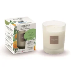 Best ESTEBAN PARIS Bougie parfumée rechargeable Orange et Thé vert Esteban - 180 g