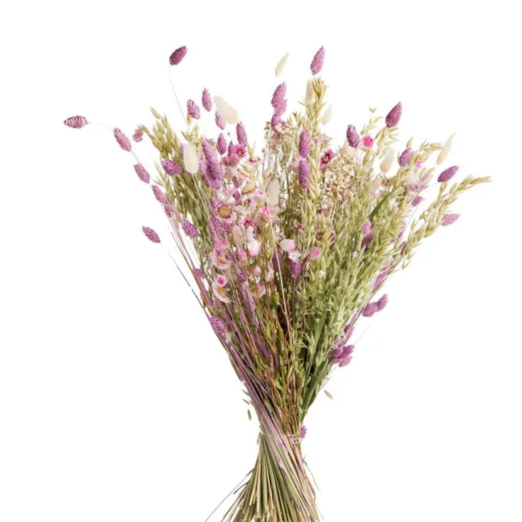 Clearance NATURALYS Bouquet coloris multicolore en fleurs séchées - Ø 25 cm