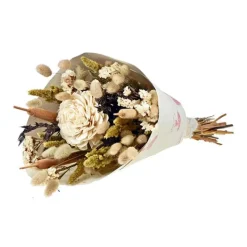 New NATURALYS Bouquet de fleurs séchées Sola L Champagne coloris beige - H 55 cm