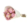 Hot NATURALYS Bouquet de fleurs séchées Sola M coloris rose - H 50 cm