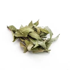 Discount Bouquet de laurier bio de France d'environ 100g- Prix à la pièce