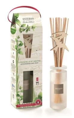 Discount ESTEBAN PARIS Bouquet parfumé initial avec recharge Citronnelle et menthe Esteban - 100 ml