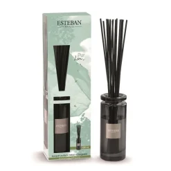 Outlet ESTEBAN PARIS Bouquet parfumé Initial et sa recharge Pur Lin Esteban - 100 ml