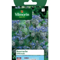 Discount VILMORIN Bourrache Officinale - graines à semer
