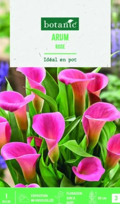 Online BOTANIC® Bulbe de fleurs Arum rose - 1 bulbe