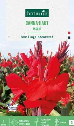 Online BOTANIC® Bulbe de fleurs Canna Haut Assaut - 1 bulbe