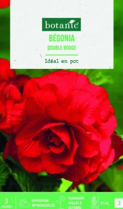 Clearance BOTANIC® Bulbes de fleurs Bégonia double rouge - 3 bulbes
