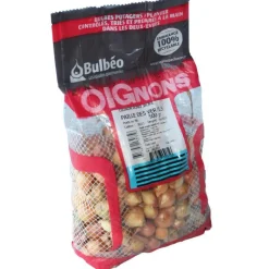 New BOTANIC® Bulbes d’oignons jaune paille des vertus 500 g