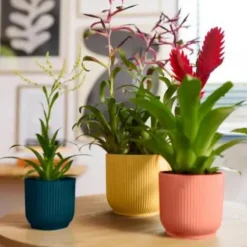 Discount ELHO Cache pot bleu foncé Vibes fold mini - Ø 9 cm