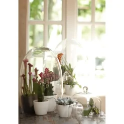 Best ELHO Cache pot 16cm Brussel Diamant rouge Rouge. Dimension: D.15,9 x H.14,6cm.La brillance donne un aspect luxueux aux produits elho, elle est moderne et u00e9lu00e9gante.","pos":34},"unic_product_shipping_ldd":{"title":"Eligible LDD","type":"Boolean","renderingMode":null,"value":false,"pos":50},"unic_product_suitable_saucer":{"title":"Soucoupe adaptu00e9e","type":"Boolean","renderingMode":null,"value":false,"pos":116}},"contexts":{"list":{"title":"Liste sur le site"},"specifications":{"title":"Caractu00e9ristiques"},"information":{"title":"Onglet dans le du00e9tail"},"technical":{"title":"Mise u00e0 disposition technique"}},"visibilities":{"specifications":[{"key":"commons","items":[{"key":"unic_product_care_tips"},{"key":"unic_product_main_colour"},{"key":"unic_product_diameter"},{"key":"unic_product_material"},{"key":"unic_product_hazardous_material"},{"key":"unic_product_origin"}]},{"key":"specific","items":[{"key":"unic_product_suitable_saucer"}]}],"information":[{"key":"commons","items":[{"key":"unic_product_desc_web_long"}]}],"technical":[{"key":"commons","items":[{"key":"unic_product_desc_web_short"},{"key":"unic_product_shipping_ldd"}]}]}},"jsonLd":{"@context":"https://schema.org","@type":"Product","name":"Cache pot 16cm Brussel Diamant Elho rouge","url":"https://www.botanic.com/produit/15768/cache-pot-16cm-brussel-diamant-elho-rouge.html","image":["https://botanic-botanic-storage.omn.proximis.com/Imagestorage/imagesSynchro/0/0/3b62b3b023cffedcdca024d9251c89d03e158835_1515412.png","https://botanic-botanic-storage.omn.proximis.com/Imagestorage/imagesSynchro/0/0/16accf9222669acbf41912d1d6e427a92dd9e905_1515413.png"],"brand":{"@type":"Brand","name":"ELHO"},"sku":"15768","offers":{"@type":"Offer","url":"https://www.botanic.com/produit/15768/cache-pot-16cm-brussel-diamant-elho-rouge.html","priceCurrency":"EUR","price":5.5,"availability":"https://schema.org/OutOfStock"}},"user":{"id":0}};window.__change['gagtm'] = {"view_item":{"currency":"EUR","value":5.5,"items":[{"promotion_id":"","promotion_name":"","item_id":"PV-15768","item_name":"Cache pot 16cm Brussel Diamant Elho rouge","affiliation":null,"coupon":"JOURNu00c9ES CLUB","currency":"EUR","discount":0.83,"index":0,"item_brand":"ELHO","item_category":"Cache-pots","item_category2":"Pots, bacs et jardiniu00e8res","item_category3":"Plantes & fleurs","item_category4":"botanicu00ae","item_category5":"","item_list_id":"","item_list_name":"","item_variant":"","location_id":"","price":5.5,"quantity":1}]}};Afficher le zoom pour l’image 1 sur 2Afficher le zoom pour l’image 2 sur 2Aller à la slide précédenteAller à la slide suivante