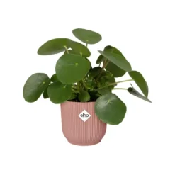 Online ELHO Cache pot rose poudré Vibes fold mini - Ø 11 cm