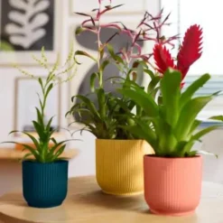 Clearance ELHO Cache pot rose poudré Vibes fold - Ø 22 cm